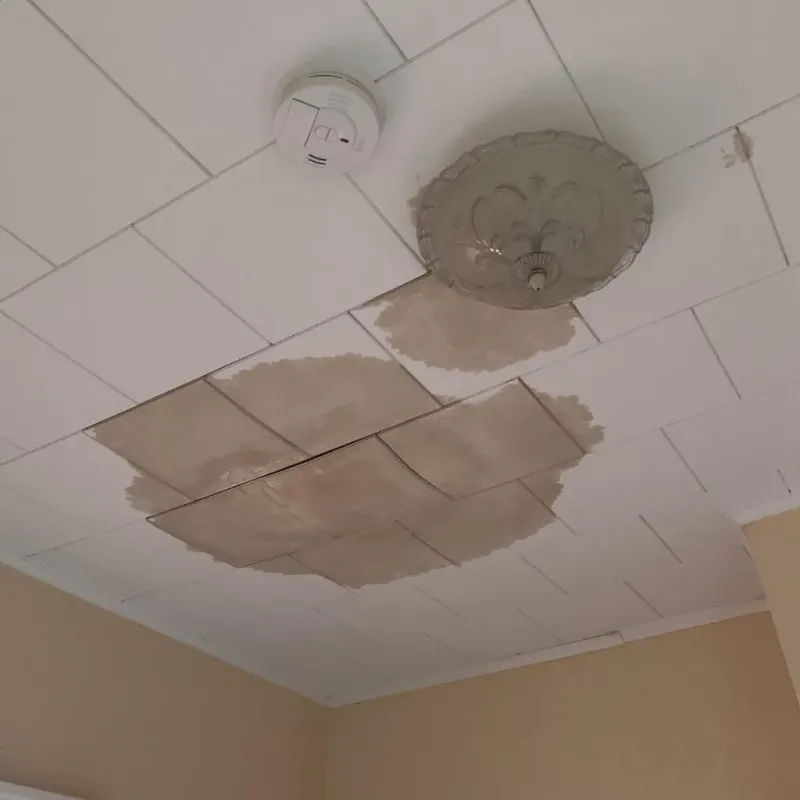 Ceiling Water Damage Repair in Bellflower, CA