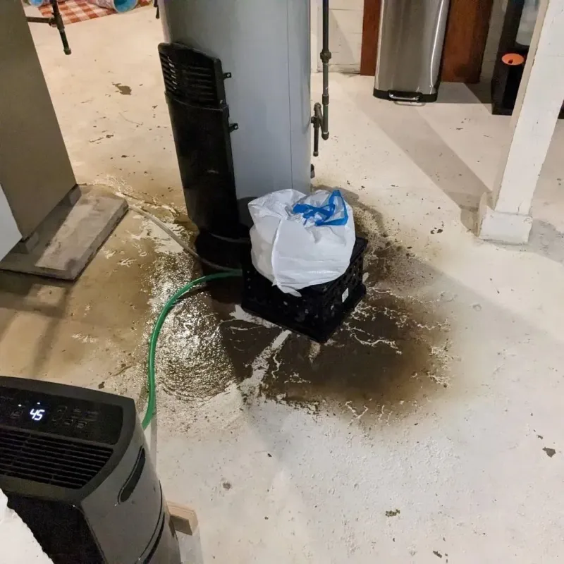Sewage Backup Cleanup Service in Bellflower, CA